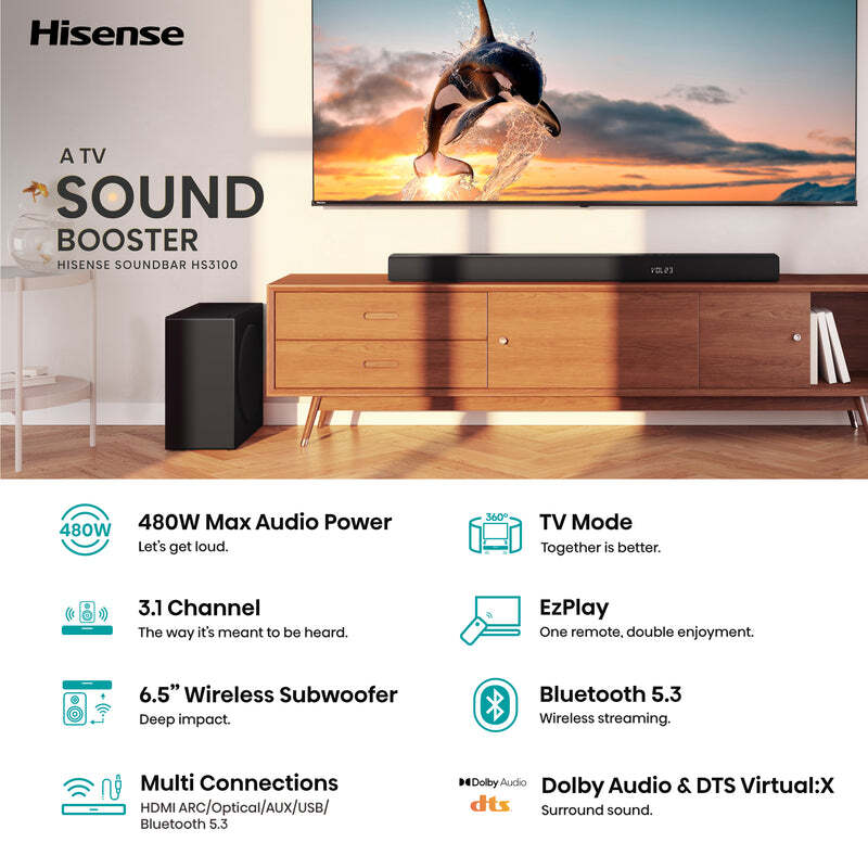 Hisense HS3100 / 3.1 480W