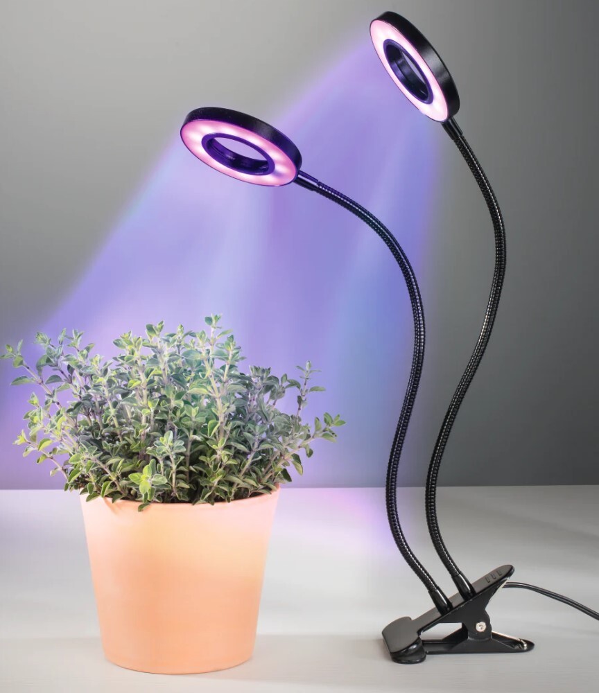 Xavax Circle LED Plant / 112696 Black