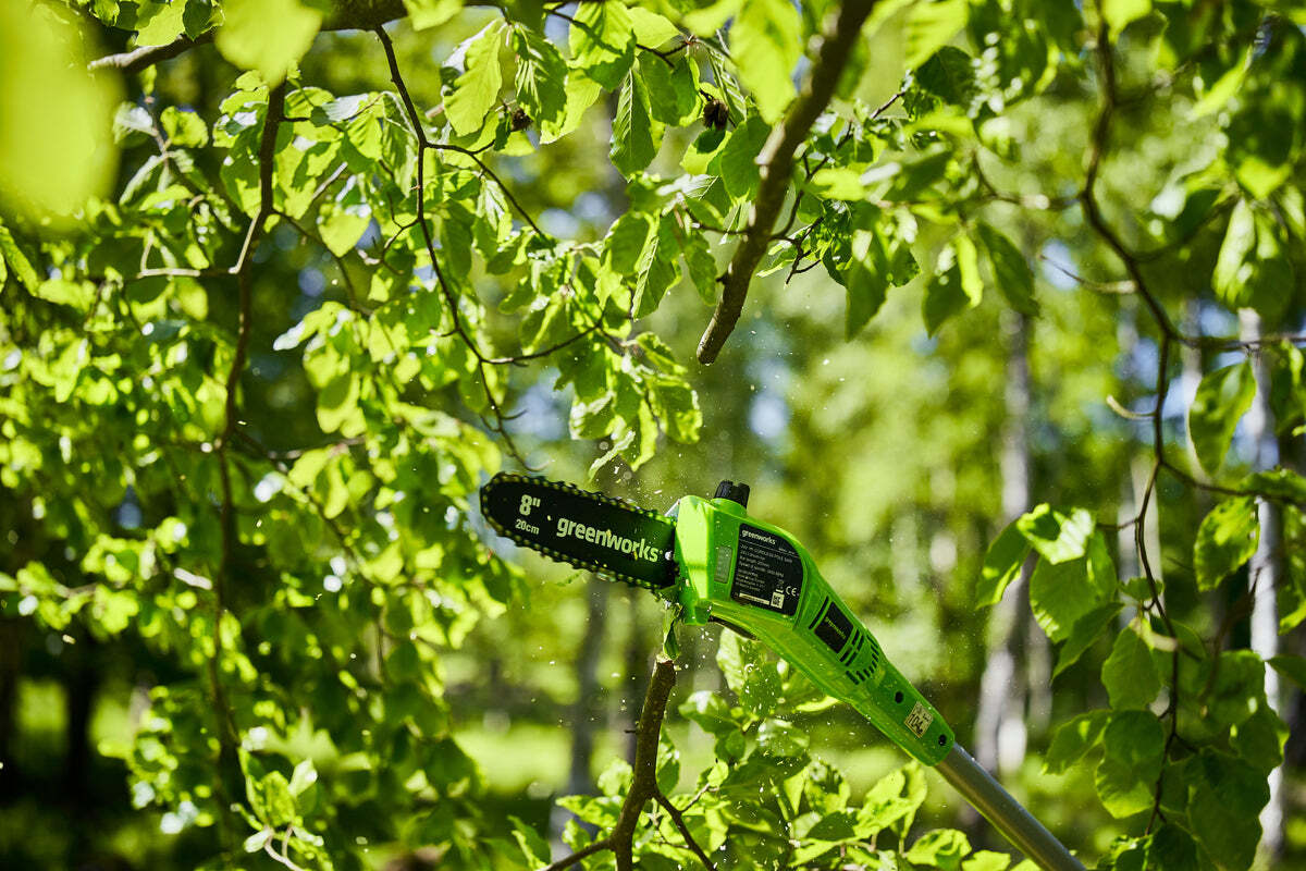 Greenworks 2000107UA