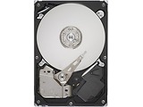 Seagate ST31000524AS