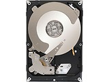 Seagate ST1000NC001