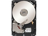 Seagate ST2000NM0033