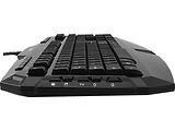 Keyboard Zalman ZM-K300M / Multimedia / USB /