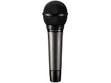 F&D DM-02 Karaoke Microphone