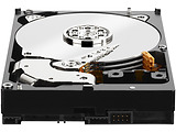 HDD Western Digital Gold WD101KRYZ / 10.0TB /