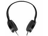 Headphones Panasonic RP-HF300GC / Mic / Black