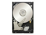 3.5" HDD Seagate Constellation ES ST31000524NS / 1.0TB /