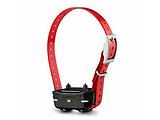 Garmin PT 10 Dog Device Red Collar / 010-01209-01 / Red