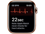 Apple Watch 5 44mm GPS + LTE Milanese Loop /