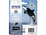 Epson T760 SC-P600 / Light Black