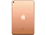 Apple iPad mini 5 A2124 256Gb Wi-Fi + 4G / Gold