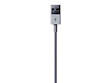 Apple A1480 / Lightning to USB White