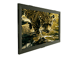 Sopar ARIES 8252AR Fixed Frame Projection Screen 250x140cm / Black