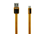 Remax Platinum RC-044a Type-C Cable / Gold