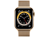 Apple Watch Series 6 GPS + Cellular 40mm Gold Stainless Steel Case with Gold Milanese Loop /