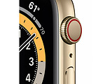 Apple Watch Series 6 GPS + Cellular 40mm Gold Stainless Steel Case with Gold Milanese Loop /
