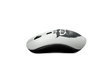 Canyon CND-CMSW401 Wireless Mouse /
