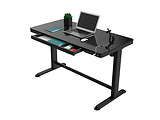 FlexiSpot Adjustable Desk ET118 /