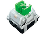 Razer BlackWidow V3 / Green Switch / RZ03-03540100-R3M1 / English