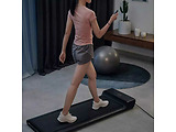 Xiaomi WalkingPad A1 Pro /