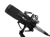 Genesis Radium 300 Studio