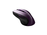 Canyon MW-01 Magenta