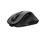 Trust Fyda Rechargeable Wireless Comfort / 23804