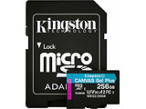 Kingston Canvas Cangas Go Plus SDCG3/256GB microSD 256GB