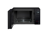 LG MW25R95GIR