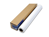 Epson Roll Paper 24"x30m 250gr