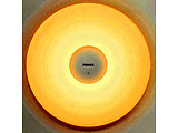Xiaomi Philips LED Ceiliny Lamp Mijia