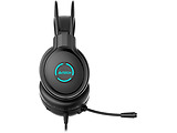 A4Tech FH300U