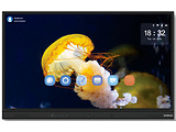 StarBoard IFPD-YL5X-PRO-75 / 75 Touch 4K / 8GB / 64GB / Android 11