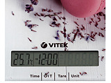 VITEK VT-8009