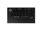 MSI MPG A1000G PCIE5
