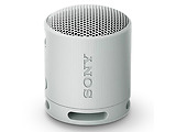 SONY SRS-XB100 Silver