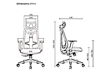 Lumi CH05-40 / Ergonomic Office Chair