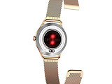 MAXCOM FW42