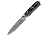 RESTO 95344 / OGMA