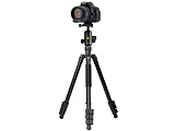 Vanguard VESTA GO 264AB