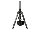 Vanguard VEO3T 265HCBP