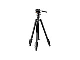 Vanguard VESTA GO 234AV10