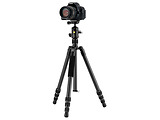 Vanguard VESTA GO 234CB