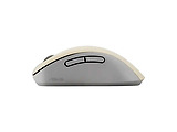 ASUS MD102 Beige