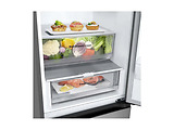 LG GBV3210DPY