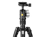 Vanguard VESTA GO 204AB