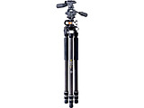 Vanguard VEO3+ 263CP
