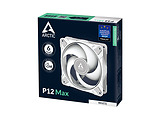 Arctic P12 Max White