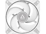 Arctic P12 Max White