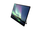Ricoh 150BW / 15.6 FullHD OLED